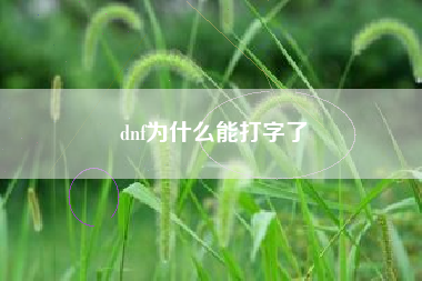 dnf为什么能打字了