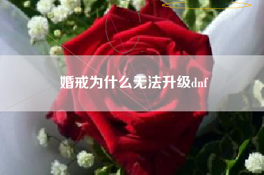 婚戒为什么无法升级dnf