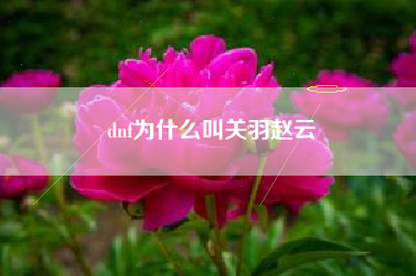 dnf为什么叫关羽赵云