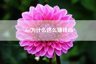 dnf为什么这么赚钱吗