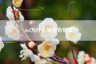 dnf为什么疲劳会恢复