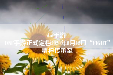 dnf手游 
DNF手游正式定档2020年8月12日“FIGHT”精神传承至