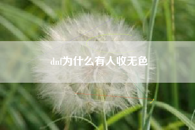 dnf为什么有人收无色