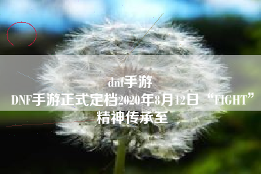 dnf手游 
DNF手游正式定档2020年8月12日“FIGHT”精神传承至