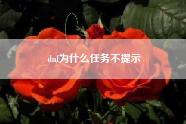 dnf为什么任务不提示