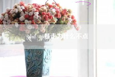 dnf  tp暴走为什么不点