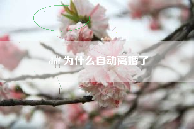 dnf 为什么自动离婚了