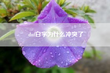 dnf白字为什么冲突了