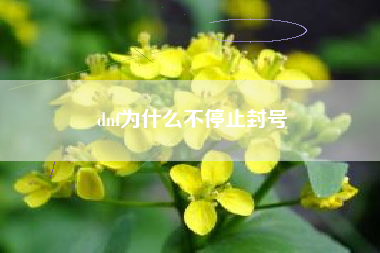dnf为什么不停止封号