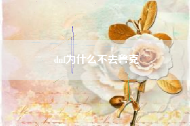 dnf为什么不去鲁克