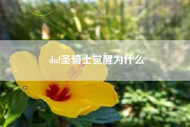 dnf圣骑士觉醒为什么