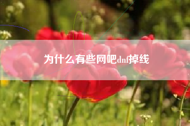 为什么有些网吧dnf掉线
