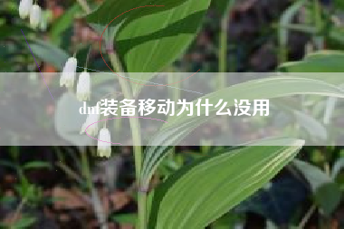 dnf装备移动为什么没用