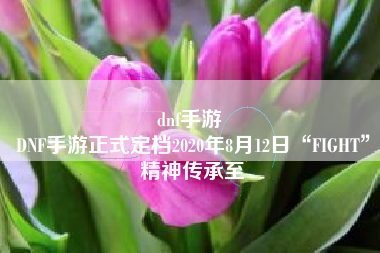 dnf手游 
DNF手游正式定档2020年8月12日“FIGHT”精神传承至