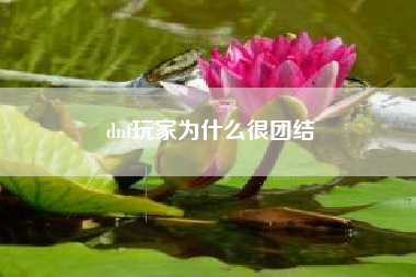 dnf玩家为什么很团结