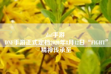 dnf手游 
DNF手游正式定档2020年8月12日“FIGHT”精神传承至