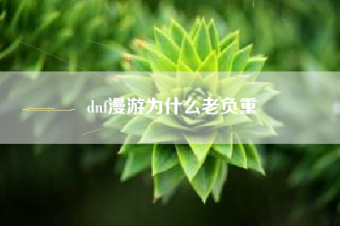 dnf漫游为什么老负重