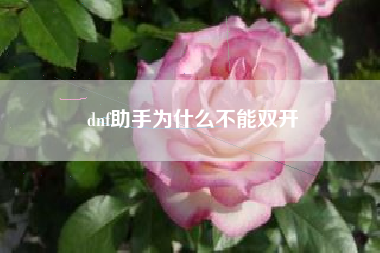 dnf助手为什么不能双开