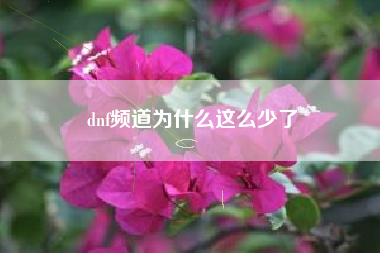 dnf频道为什么这么少了