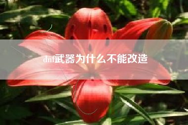 dnf武器为什么不能改造