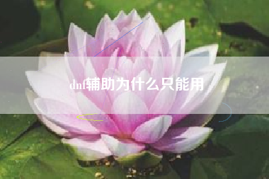 dnf辅助为什么只能用