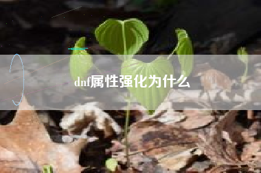 dnf属性强化为什么