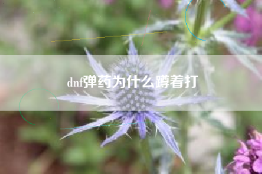 dnf弹药为什么蹲着打