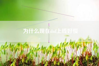 为什么现在dnf上线好慢