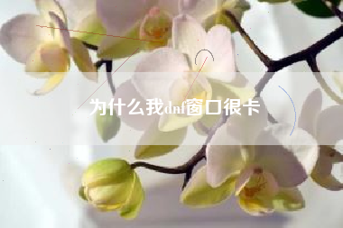 为什么我dnf窗口很卡