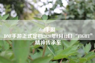 dnf手游 
DNF手游正式定档2020年8月12日“FIGHT”精神传承至