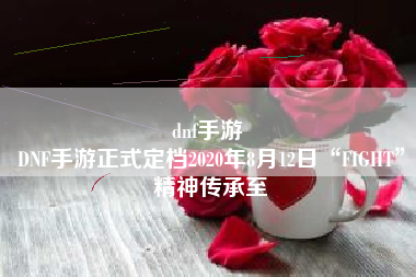dnf手游 
DNF手游正式定档2020年8月12日“FIGHT”精神传承至