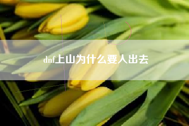 dnf上山为什么要人出去