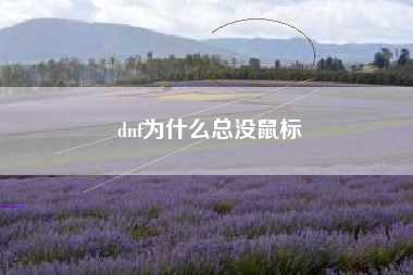 dnf为什么总没鼠标