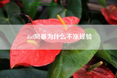 dnf风暴为什么不涨经验