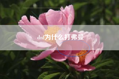 dnf为什么打弗曼
