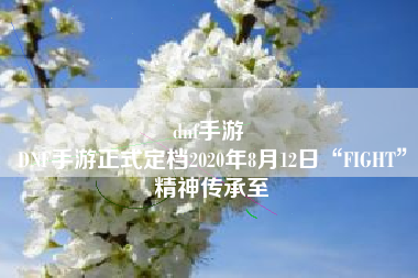 dnf手游 
DNF手游正式定档2020年8月12日“FIGHT”精神传承至