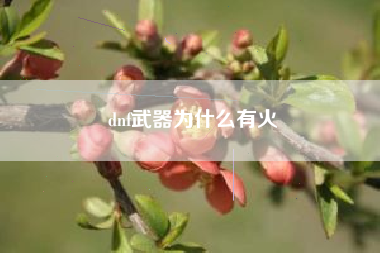 dnf武器为什么有火