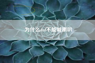 为什么dnf不能喊喇叭