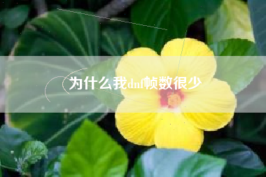 为什么我dnf帧数很少