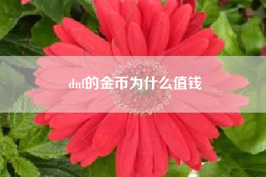 dnf的金币为什么值钱