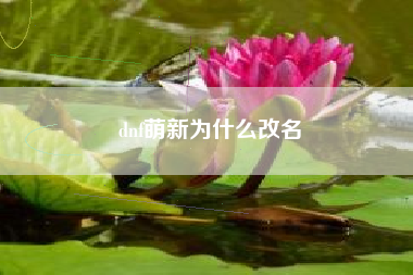dnf萌新为什么改名