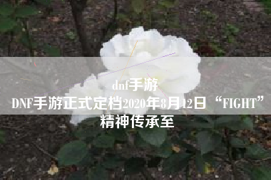 dnf手游 
DNF手游正式定档2020年8月12日“FIGHT”精神传承至