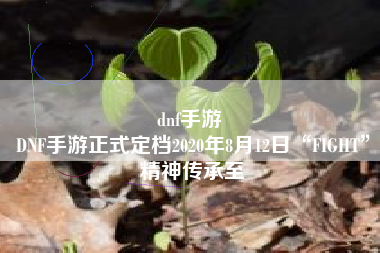 dnf手游 
DNF手游正式定档2020年8月12日“FIGHT”精神传承至