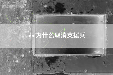 dnf为什么取消支援兵