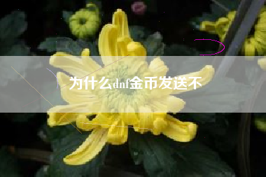 为什么dnf金币发送不