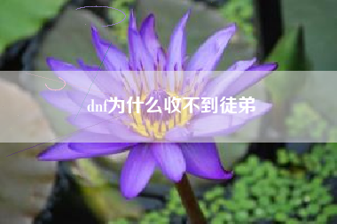 dnf为什么收不到徒弟