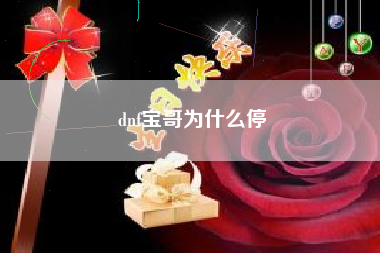 dnf宝哥为什么停