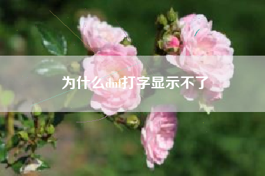 为什么dnf打字显示不了