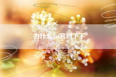 为什么dnf官网下不