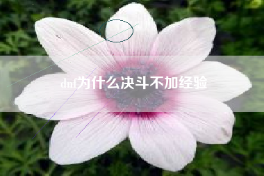 dnf为什么决斗不加经验